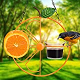 Mejores Review On Line Comedero Fruta Los Mejores 10