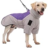 Listado Y Reviews De Chaqueta Gris Los Diez Mejores