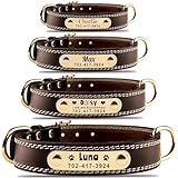 La Mejor Seleccion De Collar Excalibur Perros Tabla Con Los Diez Mejores