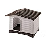 Review De Caseta De Perro Casa De Esta Semana