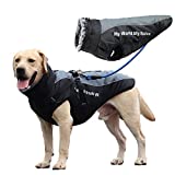 Consejos Y Reviews Para Comprar Ropa Para Mascotas Para Comprar Online