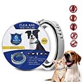 La Mejor Comparativa De Collar Antiparasitos Perro 8211 Los Mas Comprados