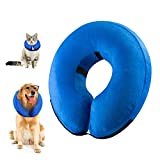Listado Y Reviews De Collarin Gato Al Mejor Precio