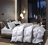 Mejores Precios Y Opiniones De Edredon Invierno Cama 90 Para Comprar Hoy