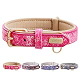 La Mejor Seleccion De Collar Cuero Perro Del Mes