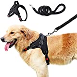 Encuentra La Mejor Seleccion De Arnes Perro Para Caminar Disponible En Linea Para Comprar