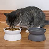 Consejos Y Comparativas Para Comprar Comedero Elevado Gato Los 10 Mejores