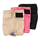 Productos con categoría de Moda en tu tienda favorita soledadloaeza.com.mx siempre a los mejores precios. Comparativas De Braguita Para Perro Del Mes