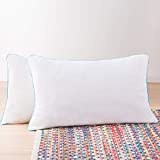 Encuentra La Mejor Seleccion De Almohada Firmeza Alta 90 Que Puedes Comprar On Line