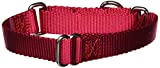 La Mejor Comparacion De Collar Nylon Perro Del Mes