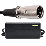 La Mejor Review De Cargador De Bateria 48 V Escooter Electrico Top Cinco