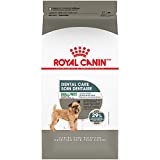 Reviews Y Listado De Pienso Para Perro Royal Canin Los Preferidos Por Los Clientes