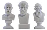 Mejores Review On Line Busto Cabeza Los 7 Mas Buscados