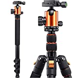 Review De Tripode Olympus Los 10 Mejores